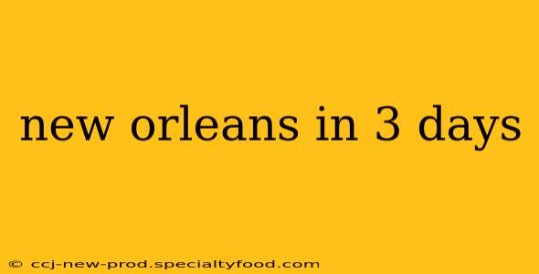 new orleans in 3 days