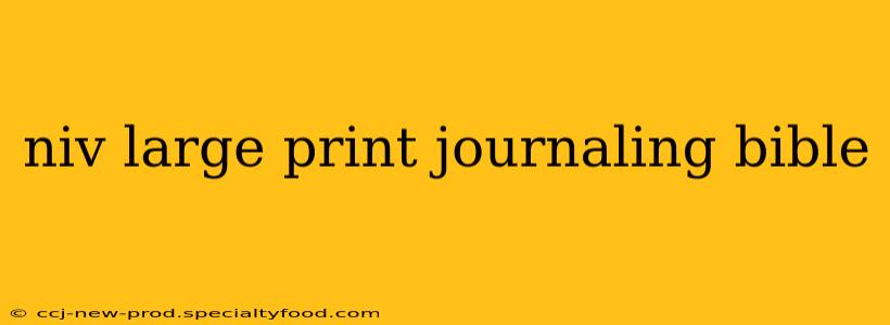 niv large print journaling bible