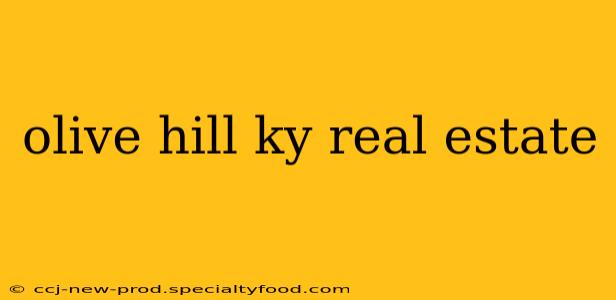 olive hill ky real estate