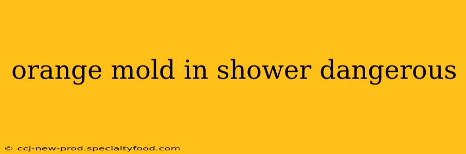 orange mold in shower dangerous