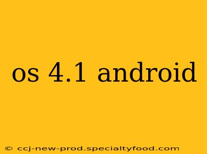 os 4.1 android