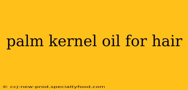 palm kernel oil for hair