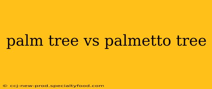 palm tree vs palmetto tree