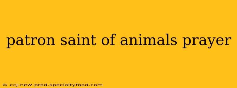 patron saint of animals prayer