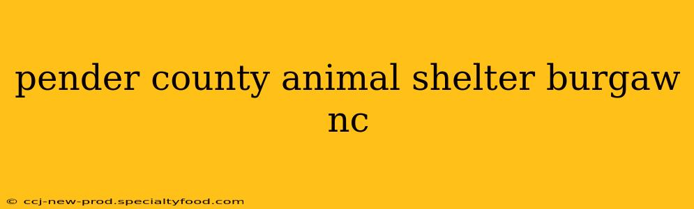 pender county animal shelter burgaw nc