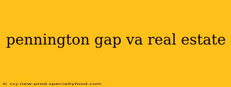 pennington gap va real estate