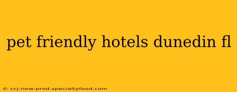 pet friendly hotels dunedin fl
