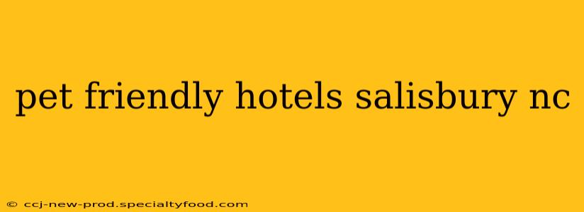 pet friendly hotels salisbury nc