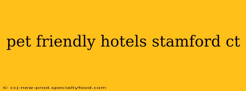 pet friendly hotels stamford ct