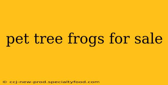 pet tree frogs for sale