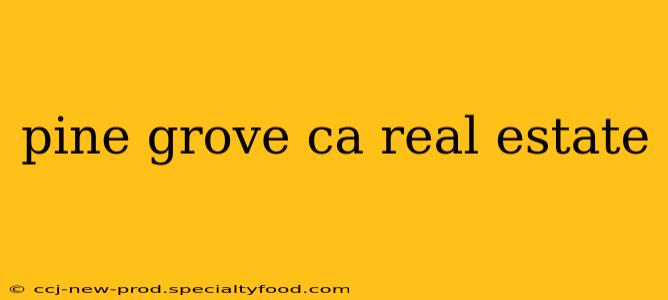 pine grove ca real estate