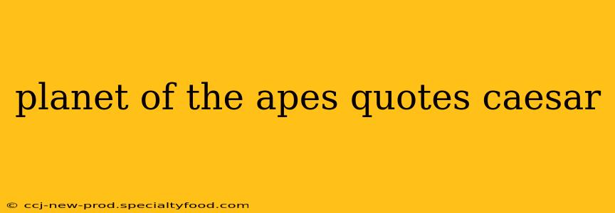 planet of the apes quotes caesar