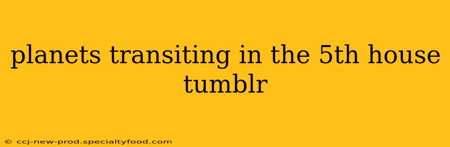 planets transiting in the 5th house tumblr