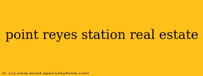 point reyes station real estate
