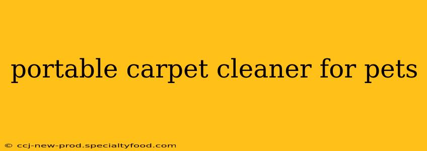 portable carpet cleaner for pets