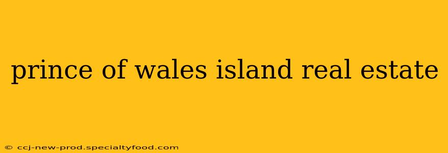 prince of wales island real estate