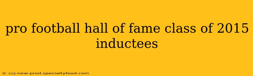 pro football hall of fame class of 2015 inductees