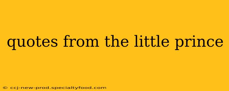 quotes from the little prince