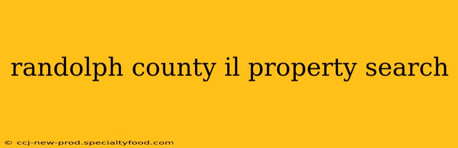 randolph county il property search