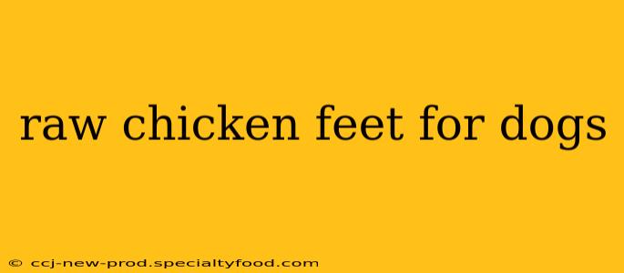 raw chicken feet for dogs