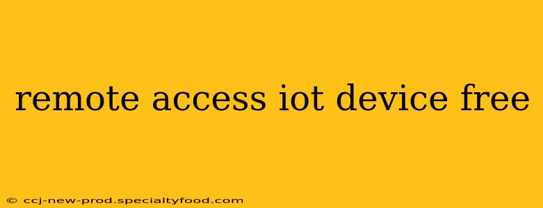 remote access iot device free