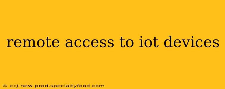 remote access to iot devices