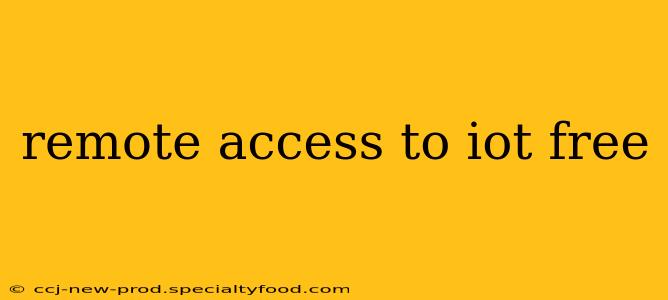 remote access to iot free
