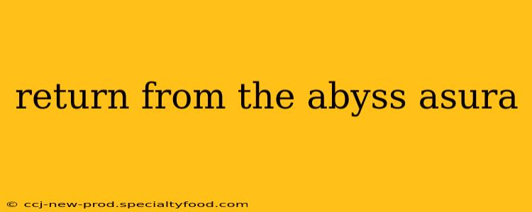 return from the abyss asura