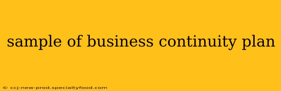 sample of business continuity plan