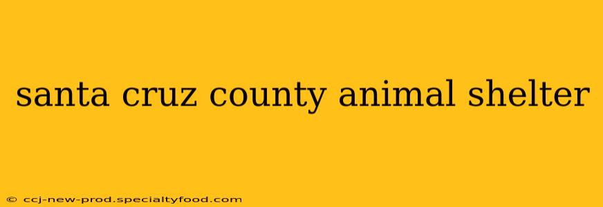 santa cruz county animal shelter