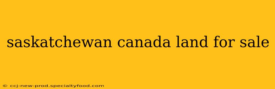 saskatchewan canada land for sale