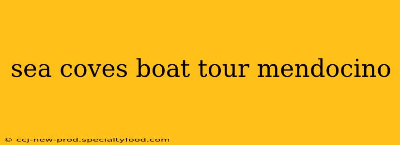 sea coves boat tour mendocino
