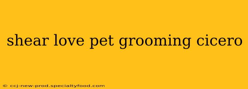 shear love pet grooming cicero