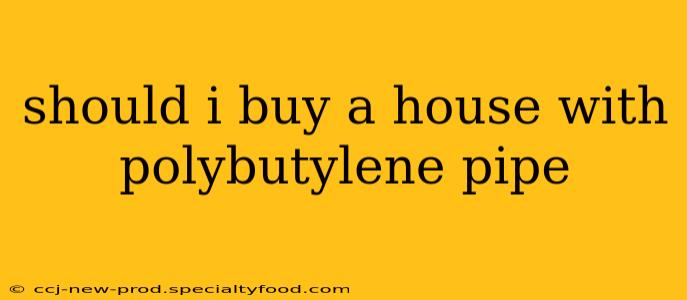 should i buy a house with polybutylene pipe