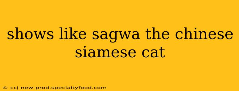shows like sagwa the chinese siamese cat