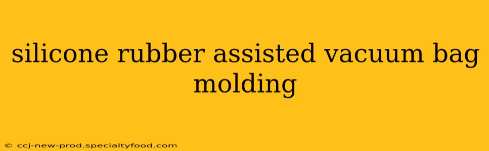 silicone rubber assisted vacuum bag molding