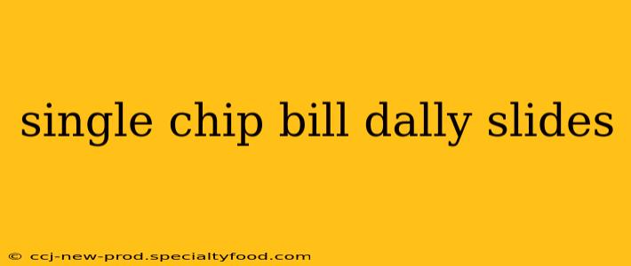 single chip bill dally slides