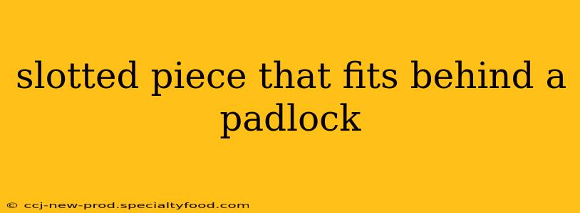 slotted piece that fits behind a padlock