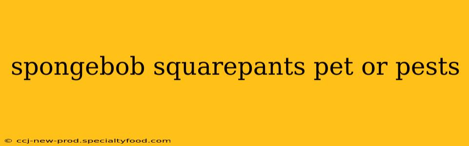 spongebob squarepants pet or pests