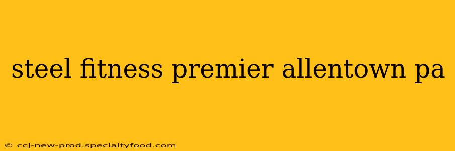 steel fitness premier allentown pa