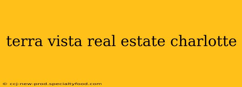 terra vista real estate charlotte