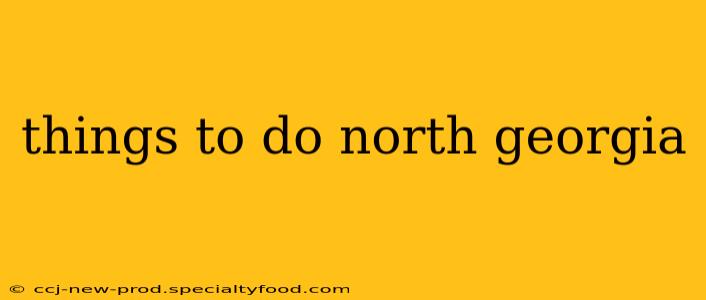 things to do north georgia