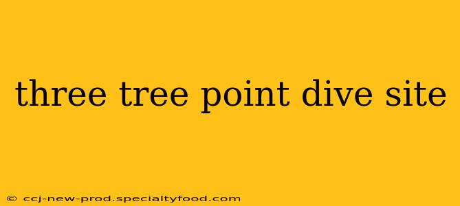 three tree point dive site