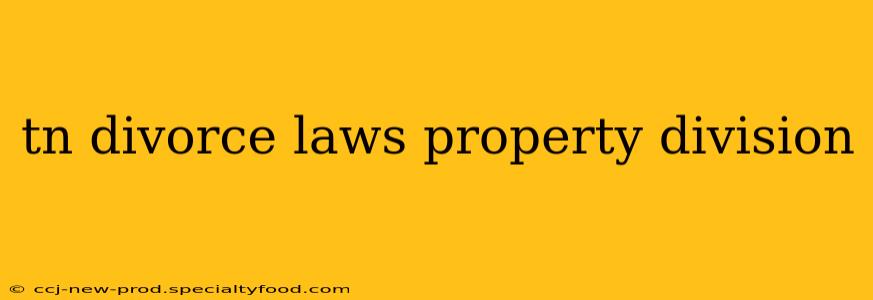 tn divorce laws property division