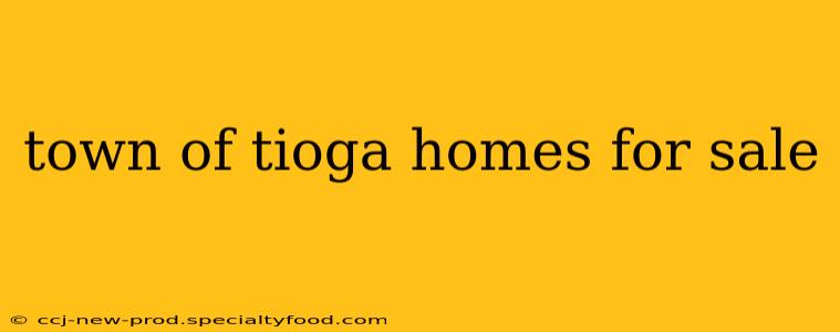 town of tioga homes for sale