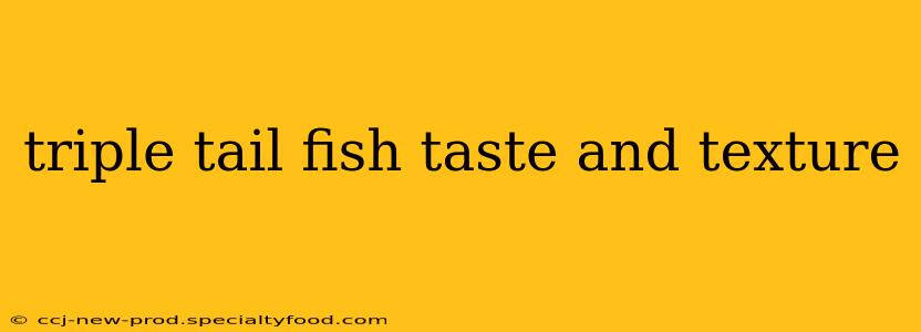 triple tail fish taste and texture