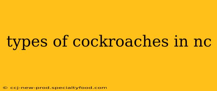 types of cockroaches in nc