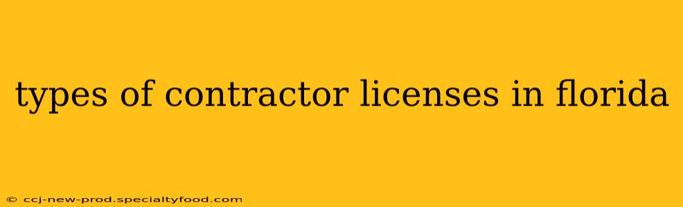 types of contractor licenses in florida