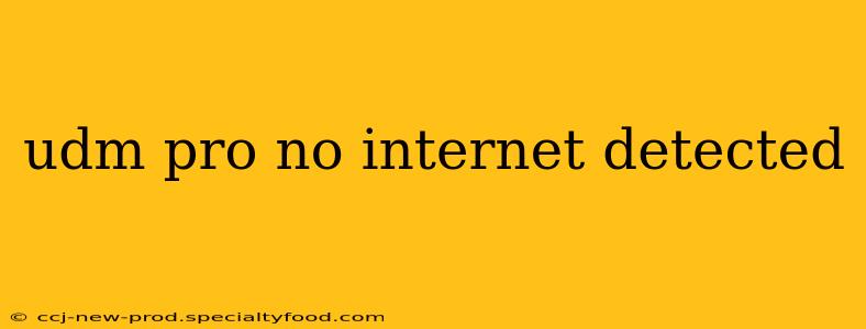 udm pro no internet detected