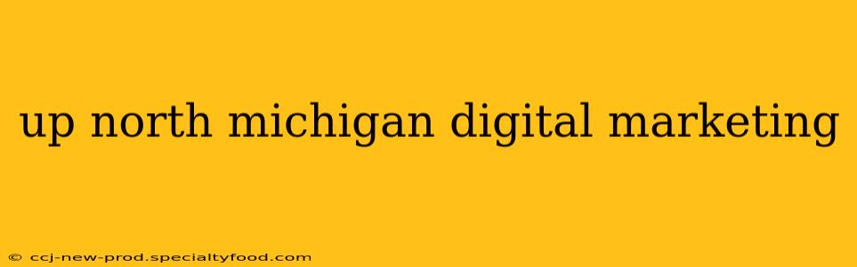 up north michigan digital marketing